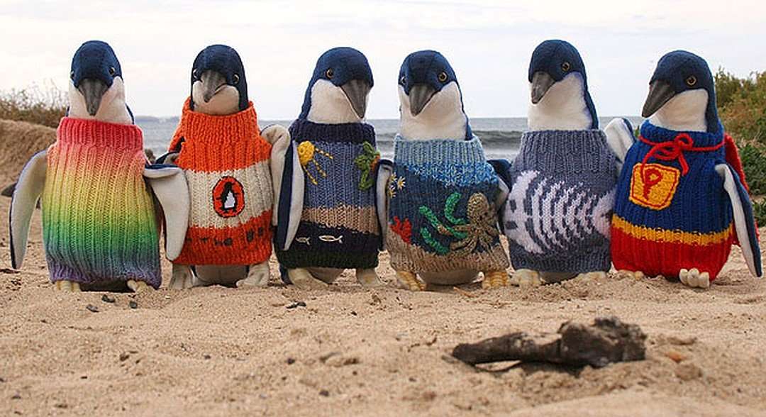 Они делают кукол с пятнышками и вяжут свитерки для пингвинов! Как дедушки и бабушки нашли себя на пенсии