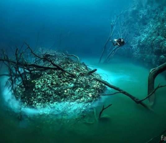 Загадкова підводна річка Анхелита