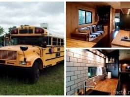 Історія про те, як старий автобус перетворився на будинок на колесах