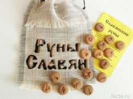 Прогулянка по чайної плантації в Індії