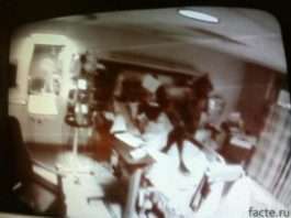 Незвичайні хобі російських письменників