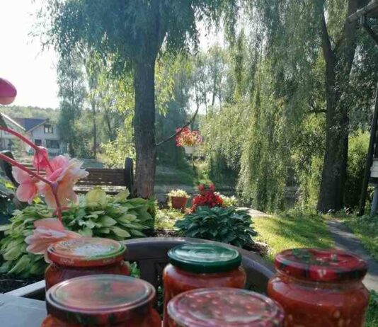 Лобіо на зиму