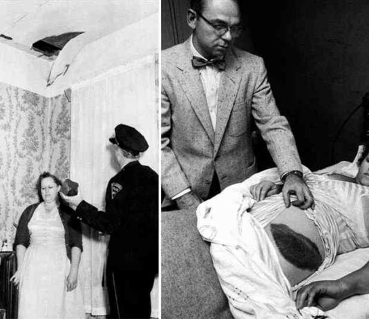 Доля єдиної жінки в світі, в яку потрапив метеорит