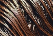 Паровая чистка головы: глубокое очищение для здоровых волос