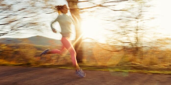 12ed2c67-f939-4f0b-84f7-f2e22fd40dc1