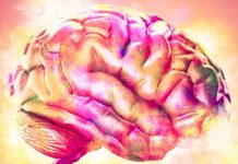 Ваш мозок після травми: не зламаний, але працює в режимі виживання