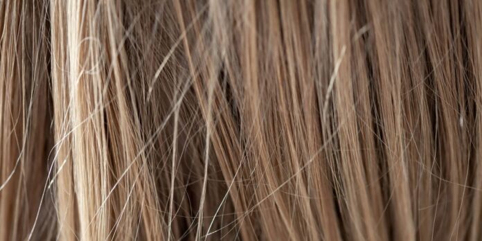 e1ba1b32-3fa0-455c-8aa5-ab21c7f30503