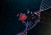 Вчені розробили прогностичну модель еволюції раку