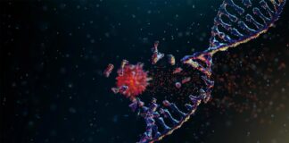 Wissenschaftler entschlüsseln Vorhersagemodell für die Krebsentwicklung