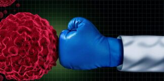 Прорив у лікуванні раку підшлункової залози: антитіла активують імунну відповідь