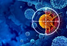 Wetenschappers herprogrammeren tumorcellen om kanker van binnenuit te bestrijden