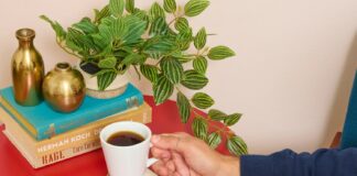 Напрочуд чудово: еспресо-машина за 140 доларів, яка настільки дорога, наскільки це можливо