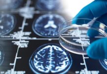 Перевага дідуся та бабусі: дослідження підтверджує когнітивні переваги