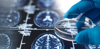 Перевага дідуся та бабусі: дослідження підтверджує когнітивні переваги