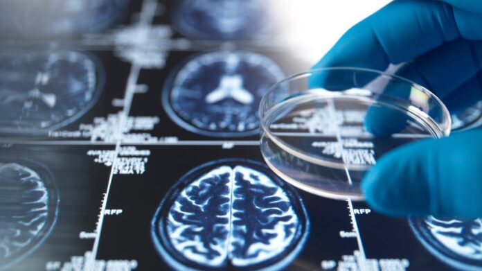 e0506297-e87d-4c57-b3ee-47fc5f6729f2