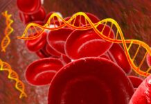 Приховані сигнали раку: нещодавно виявлені РНК розкривають таємниці пухлин