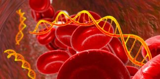 Приховані сигнали раку: нещодавно виявлені РНК розкривають таємниці пухлин