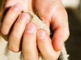 Pourquoi avons-nous des ongles ? La vraie science et le vrai style derrière vos ongles